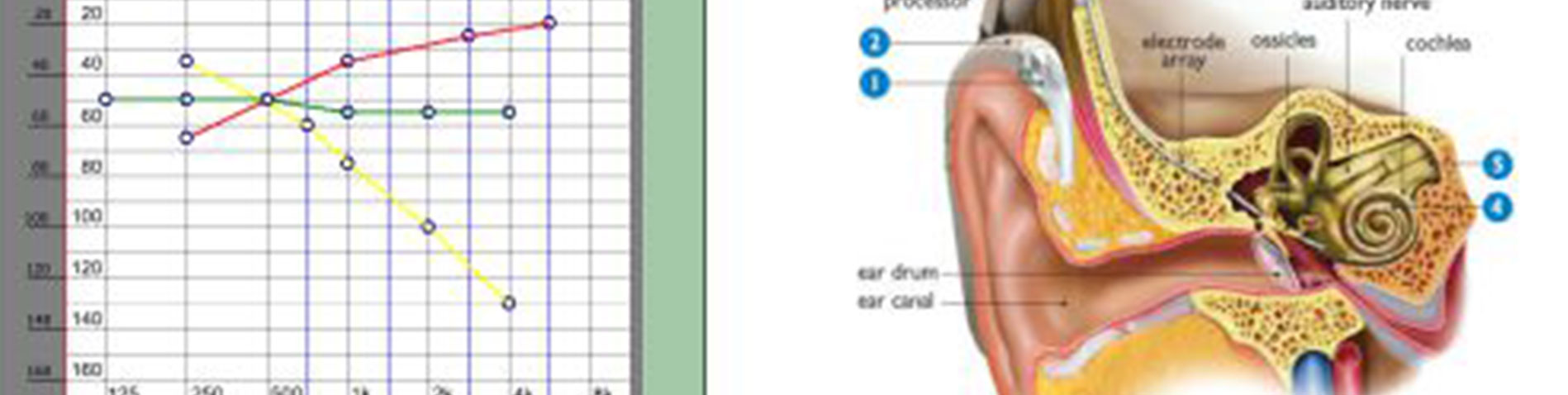 presenta-nova-kdo-smo Presenta nova